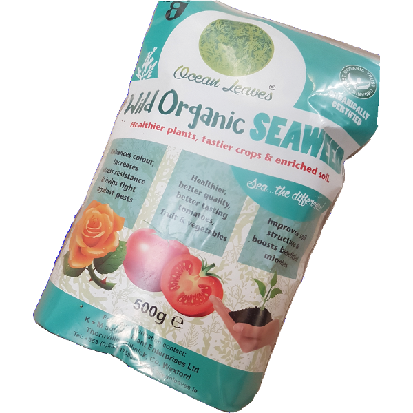Wild Organic Seaweed 500g